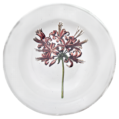 Guernsey Lily Soup Plate
