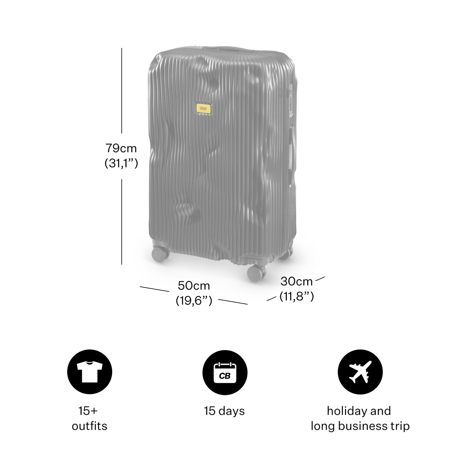Large Black Stripe Luggage