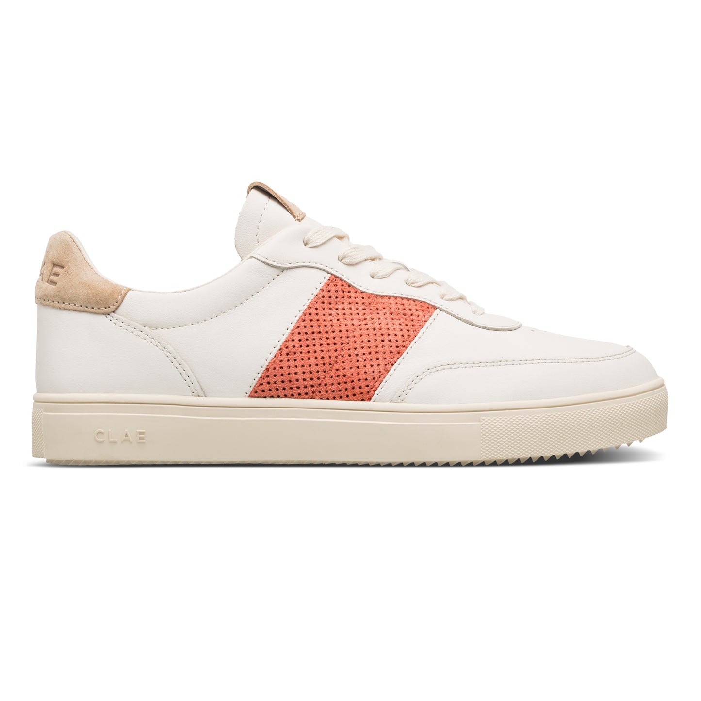 Davis Offwhite Safari Camellia