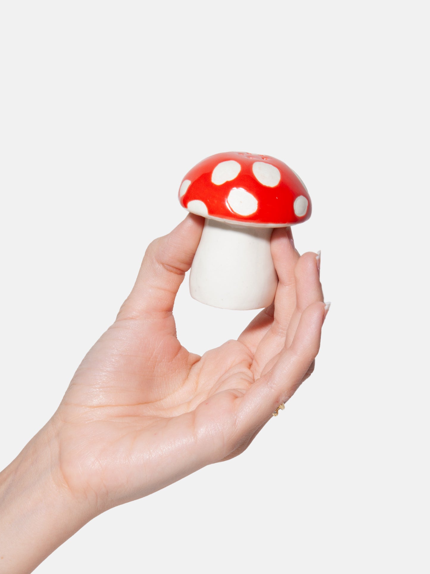 Salt & Pepper Amanita