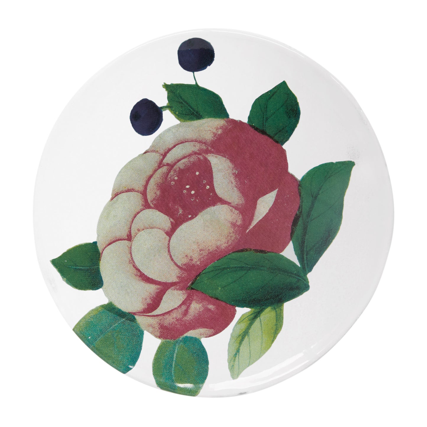18th c Fan Voluptuous Rose Plate