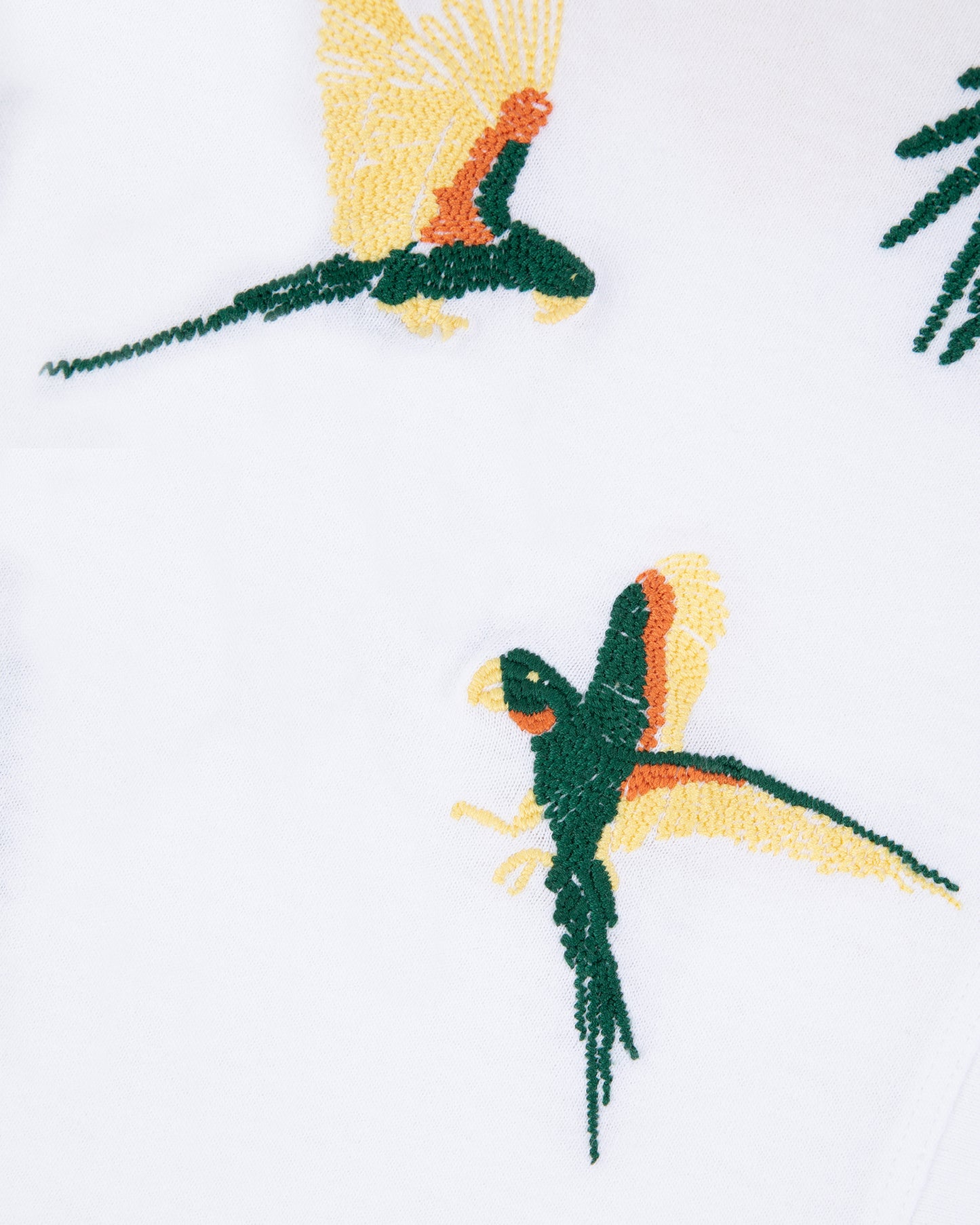 Pergolese Parrot/Gots