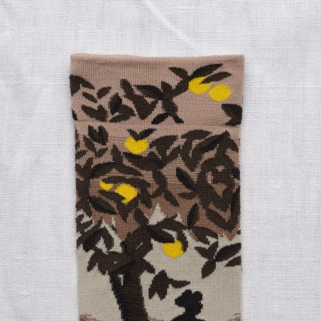 Paysage Multico Ankle Socks