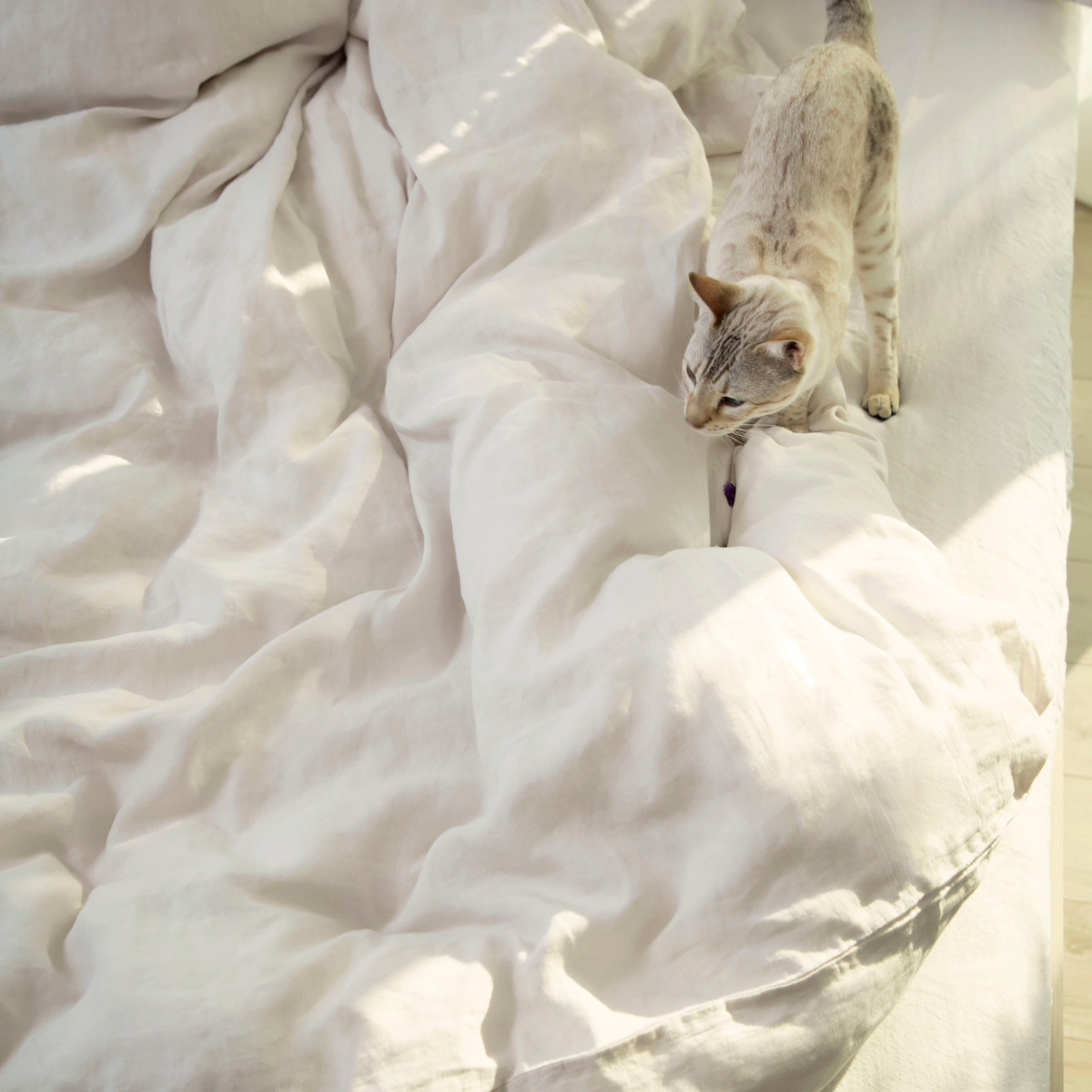 Queen Linen Duvet Cover Moon Beam