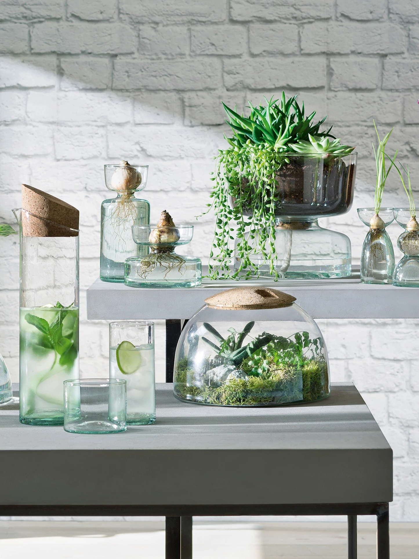 Canopy Self Watering Planter H22cm Clear/Part Optic