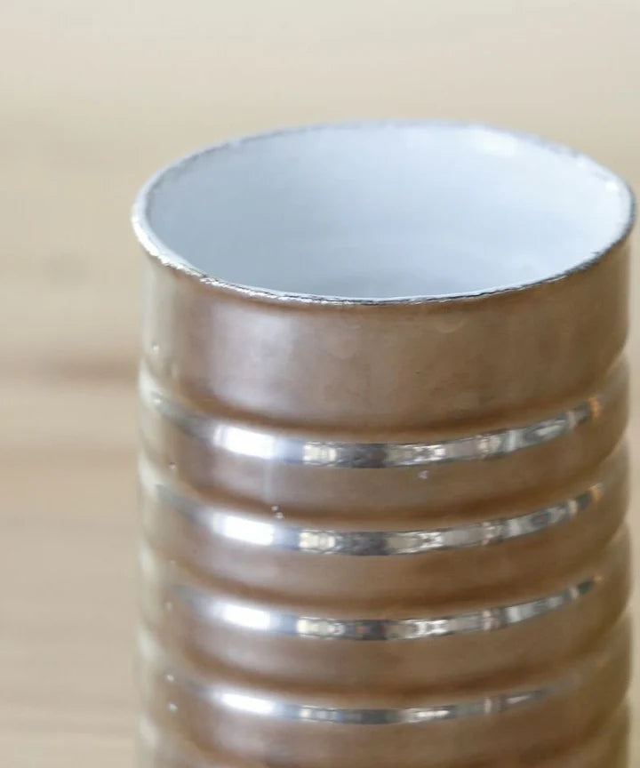 Small Conserve Vase - Platinum