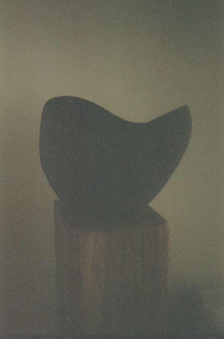 Black Blackpepper Light Sculpture 3kg