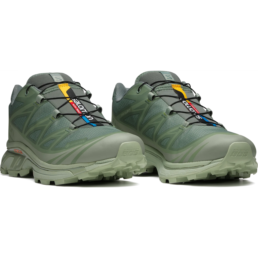 XT-6 GTX Desert Sage/Lily Pad/ Laurel Wreath (unisex)