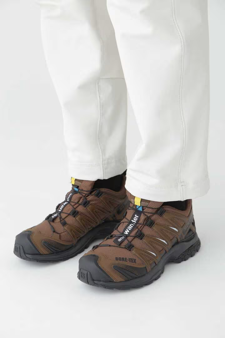 Xa Pro 3D Gore-Tex Brown