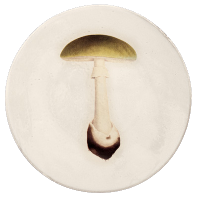 Agaric Bulbeux Dinner Plate