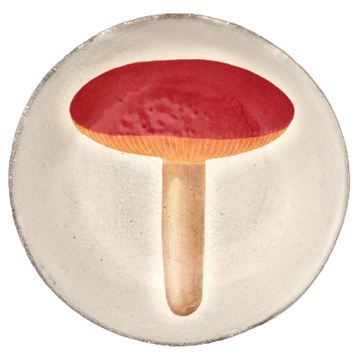 Small Agaric Alutace Plate