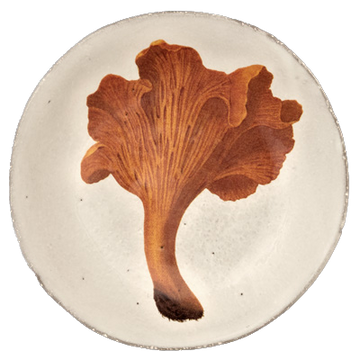 Small Large Chanterelle Comestible Plate