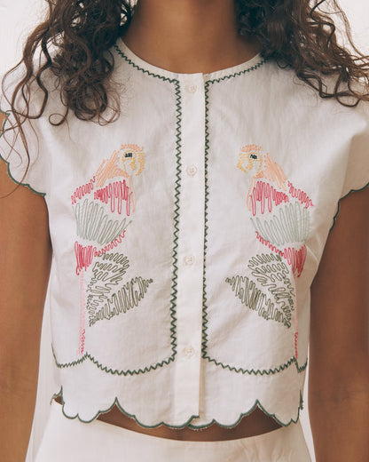 Bessin Cotton Parrots Lover