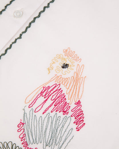Bessin Cotton Parrots Lover