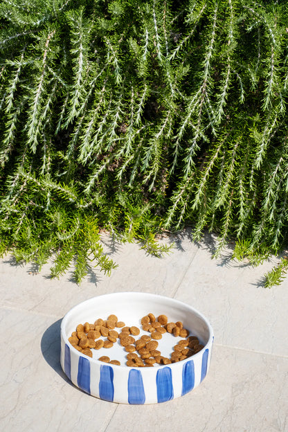Blue Stripes Pet Bowl Medium