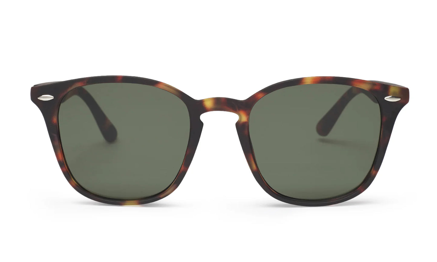 Cooper Mate Tortoise