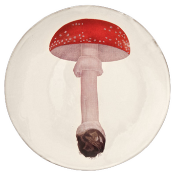 Medium Agaric Fausse Oronge Umbrella Plate