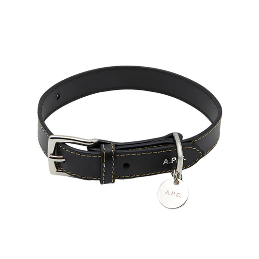 Collier Chien