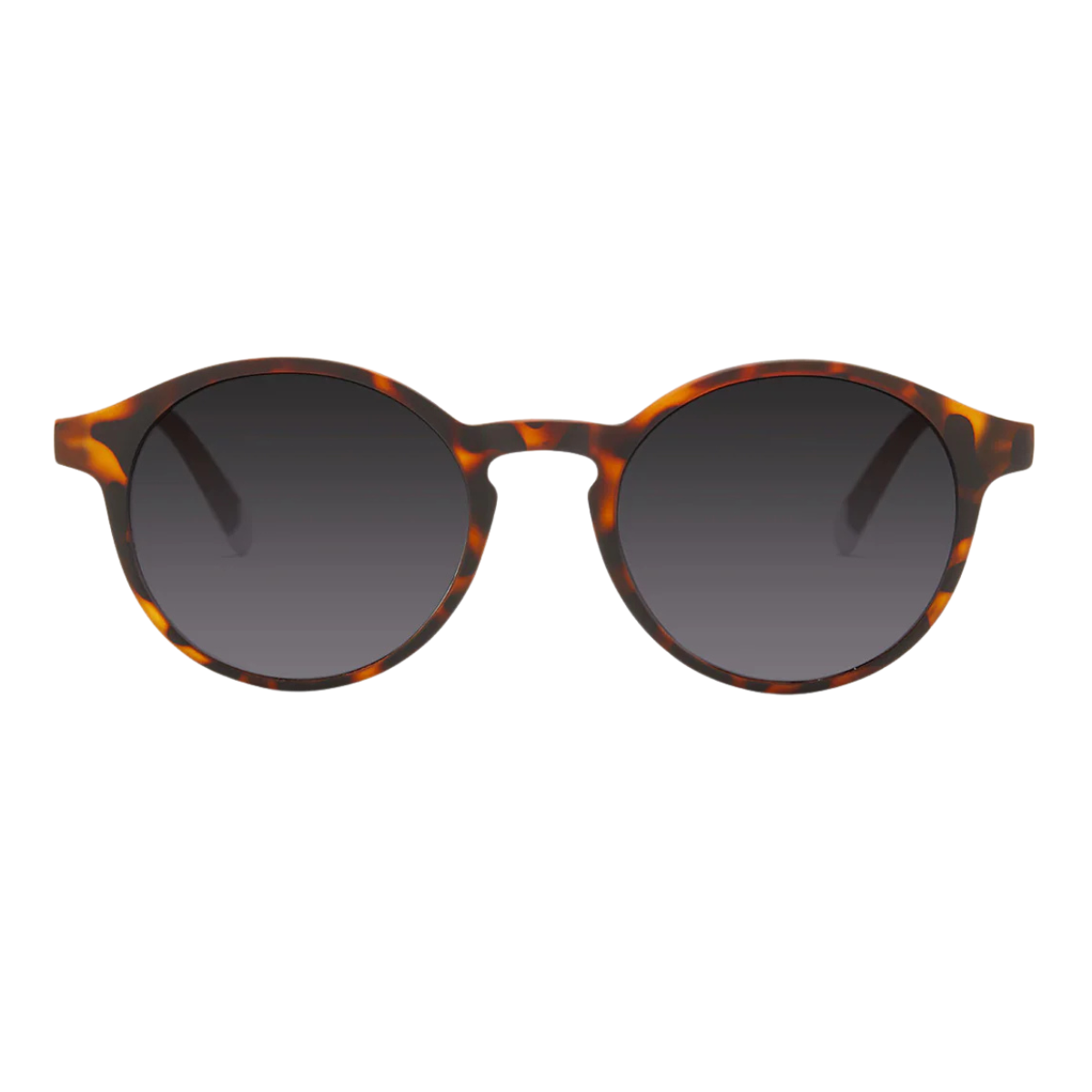 Le Marais Tortoise Sun