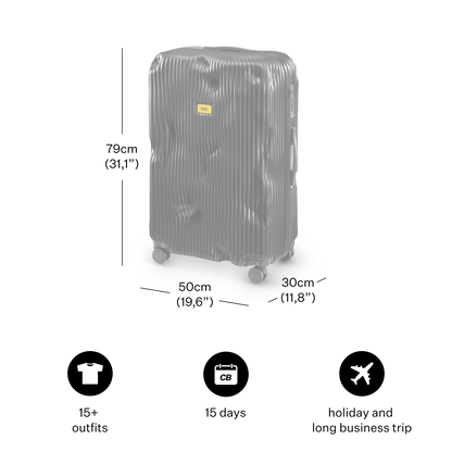 Large Black Stripe Luggage