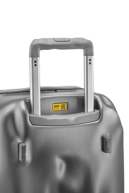 Icon Trunk Large Raw Steel