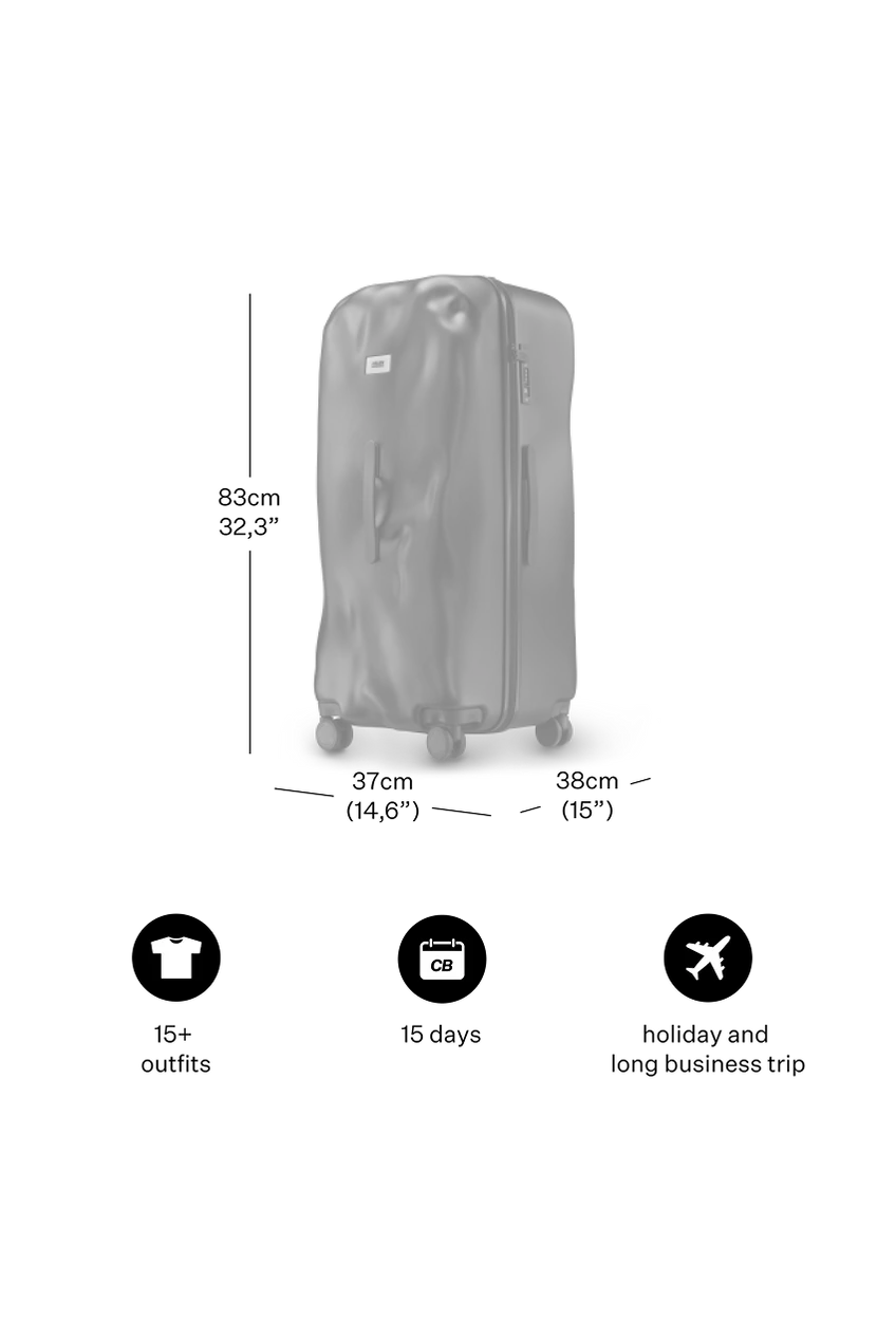 Icon Trunk Large Raw Steel