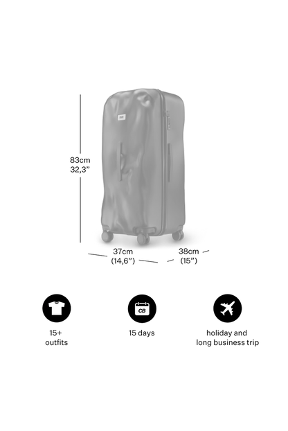 Icon Trunk Large Raw Steel