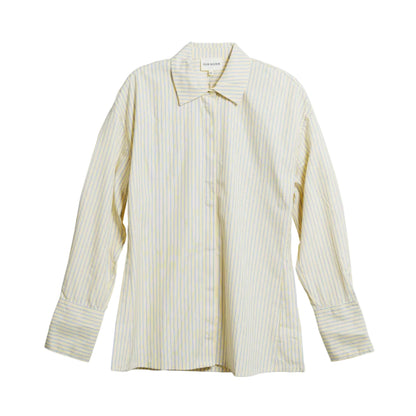 Fitted Shirt Dress