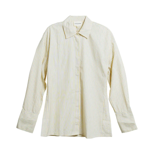 Fitted Shirt Dress