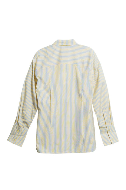 Fitted Shirt Dress