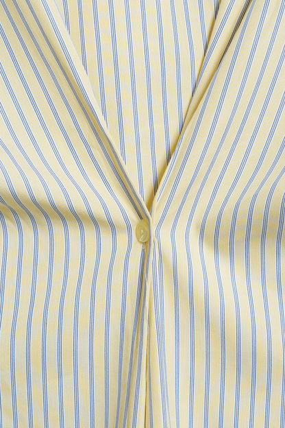 Fitted Shirt Dress