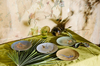 Paradise Color Dinner Plate + Box 25cm