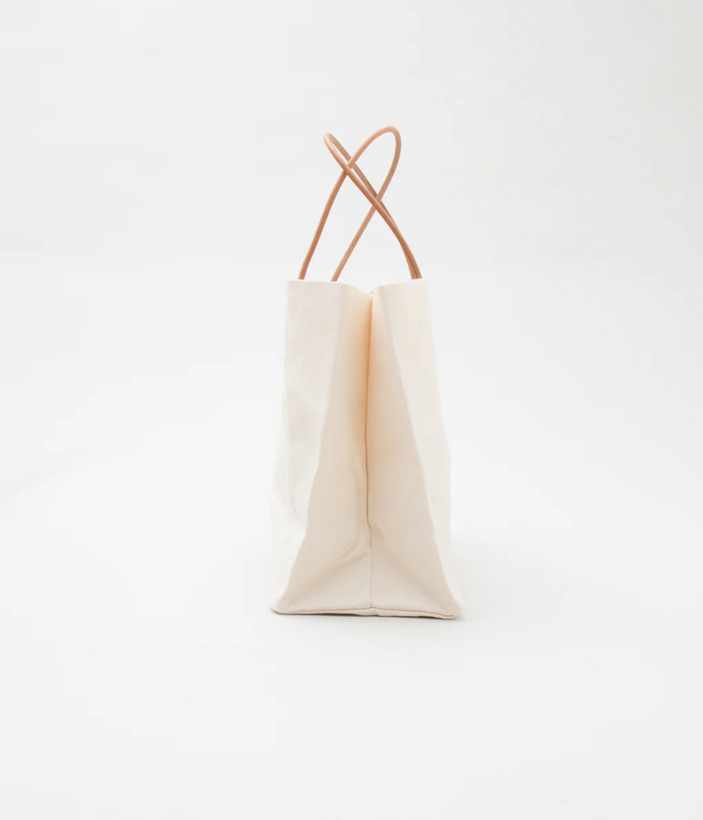 Paper Bag Y