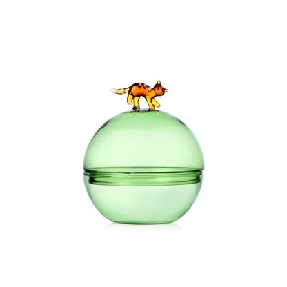 Tabby Cat Christmas Edition Green Sugarp