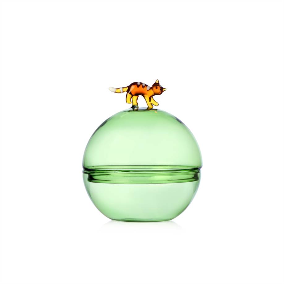 Tabby Cat Christmas Edition Green Sugarp
