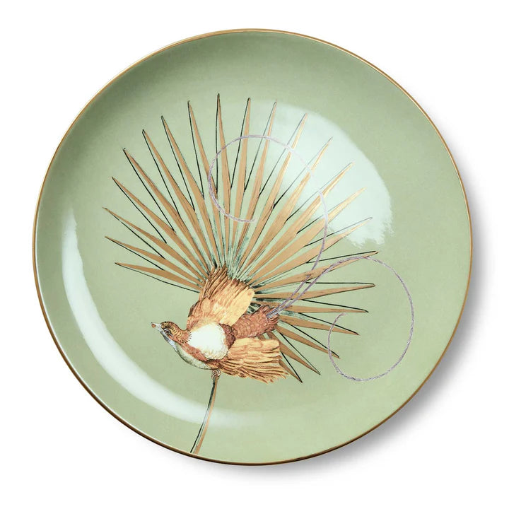 Paradise Color Dinner Plate + Box 25cm