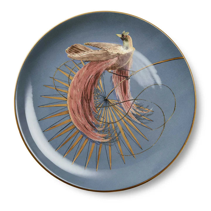 Paradise Color Dinner Plate + Box 25cm