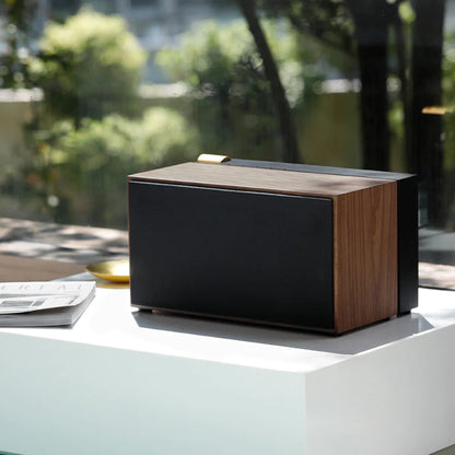 PR/01 NL BT Wooden Speaker Black Int