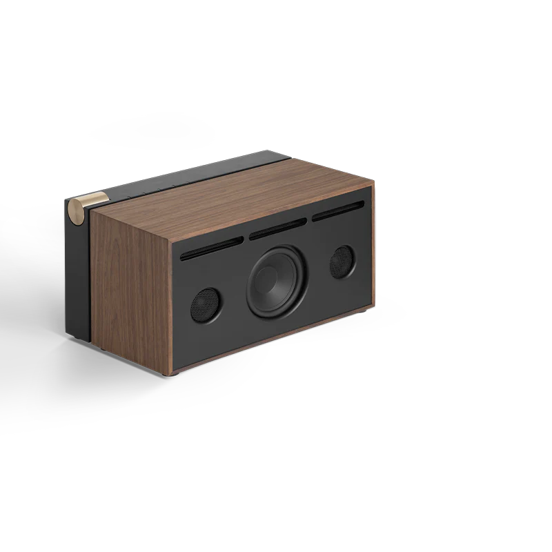 PR/01 NL BT Wooden Speaker Black Int
