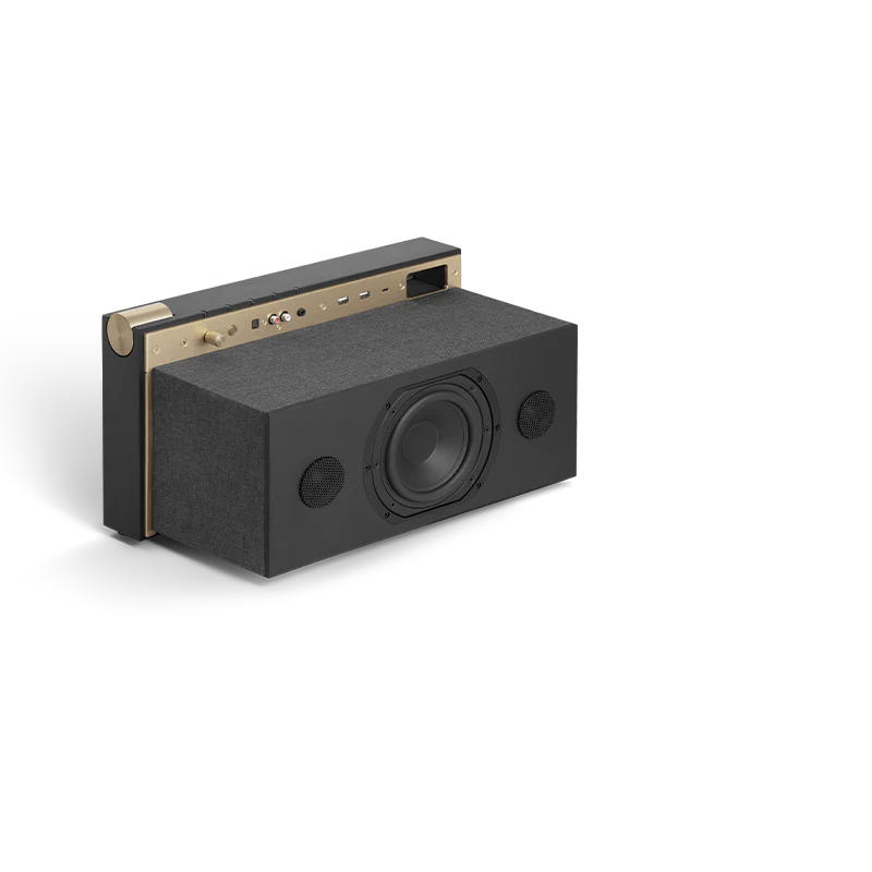 PR/01 NL BT Wooden Speaker Black Int