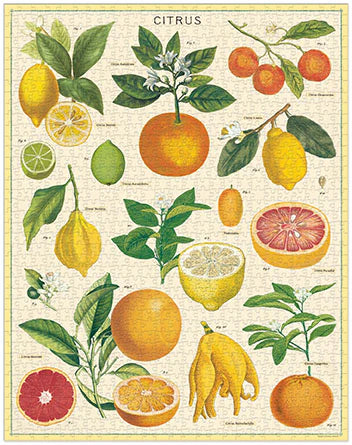 1000 Piece Puzzle - Citrus