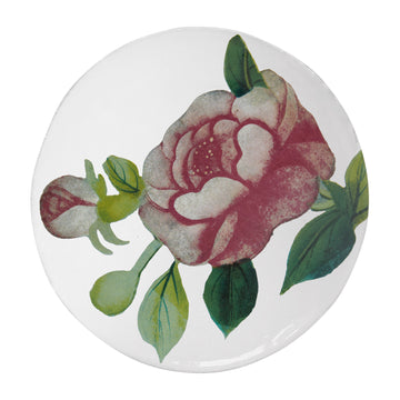 18th c Fan / Superb Rose Plate