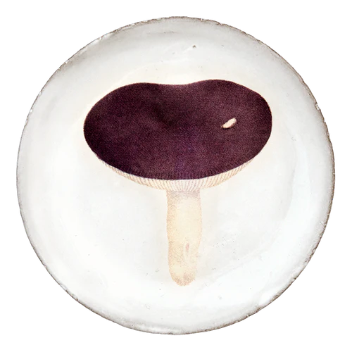 Small Agaric Emetique Plate