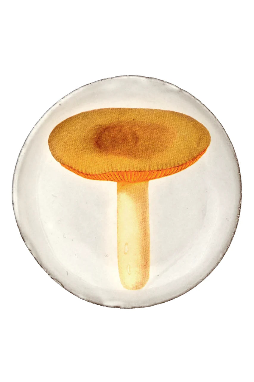 Small Agaric Sapid Plate