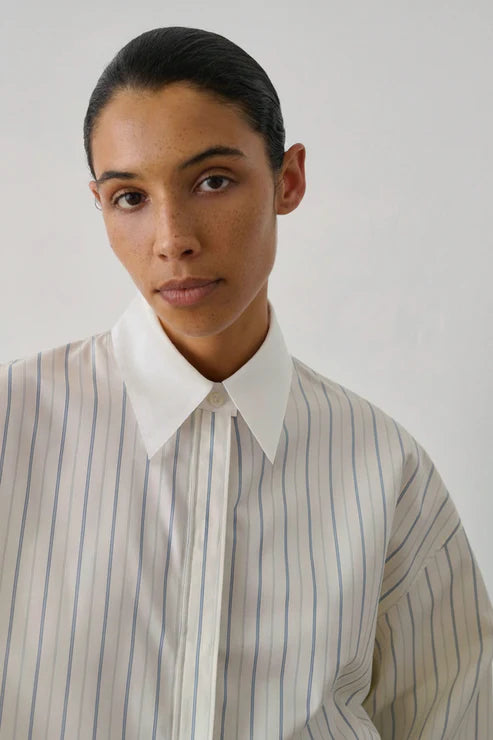 Idesia Shirt