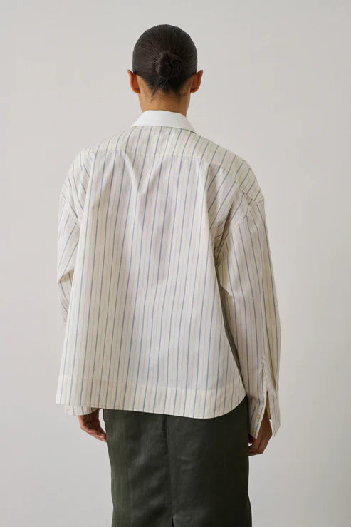 Idesia Shirt