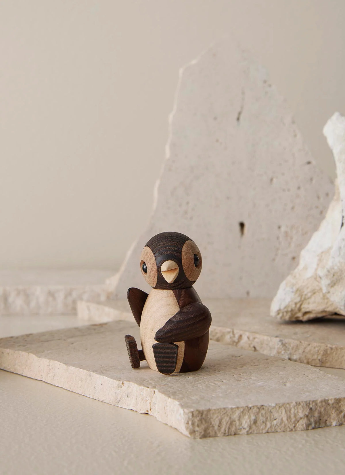 Baby Penguin