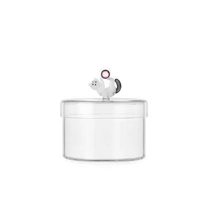 Tabby Cat Box Cat With Pink Ball