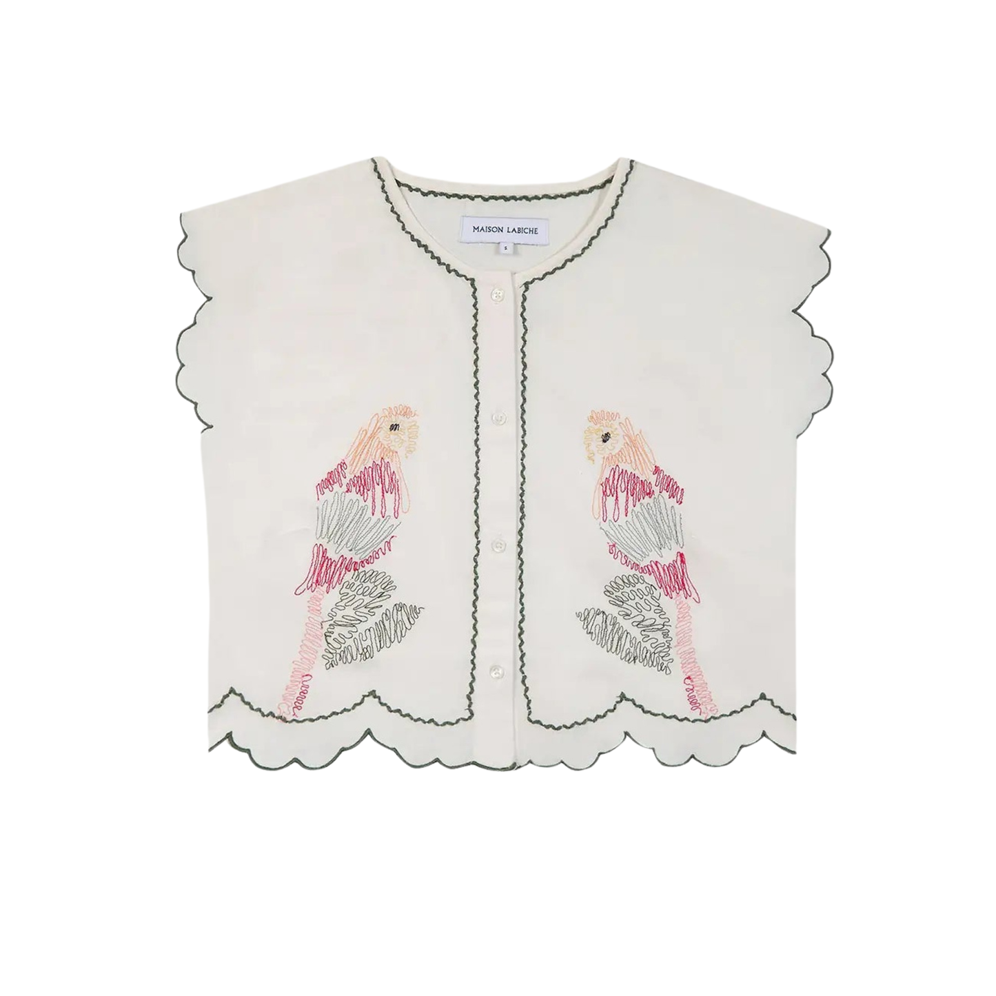 Bessin Cotton Parrots Lover