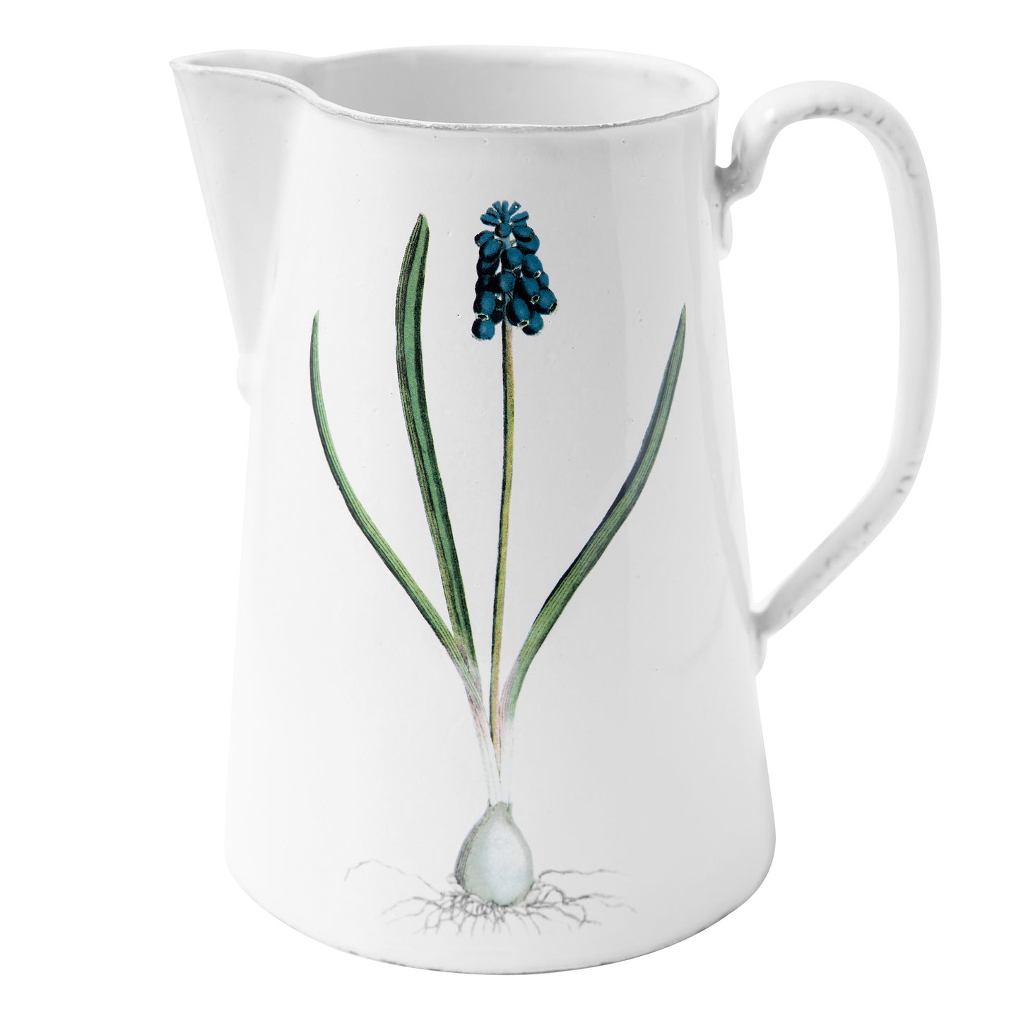 Muscari Pitcher